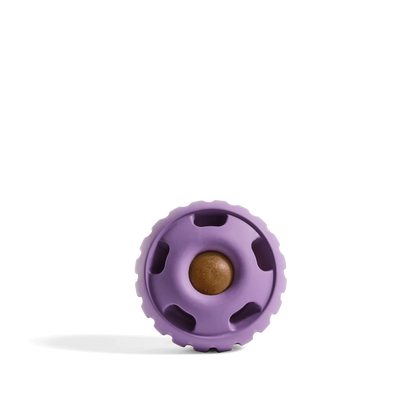 The Pupsicle – Keep Your Dog Calm & Busy For Hours